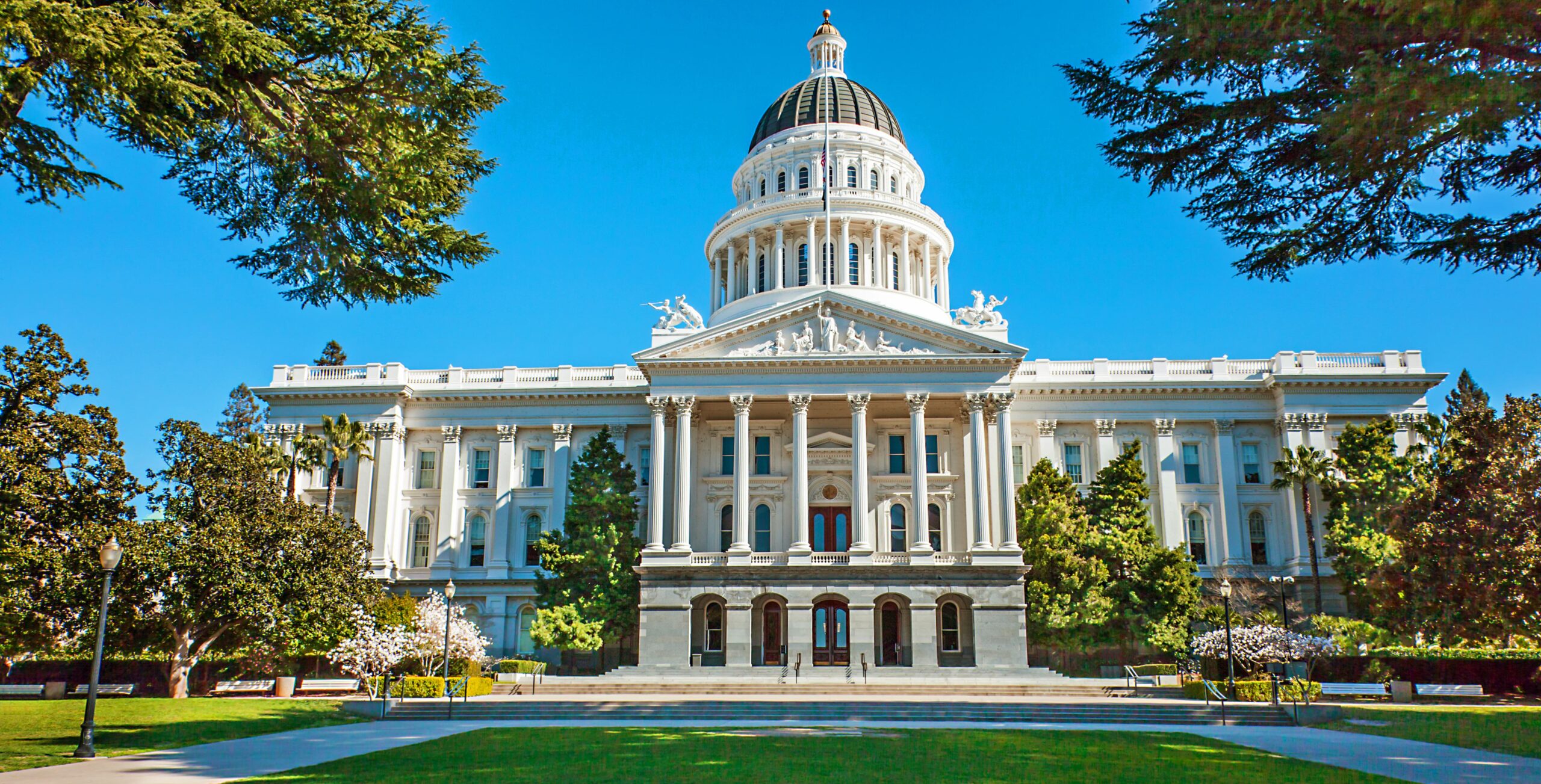 California Auto Transport Companies